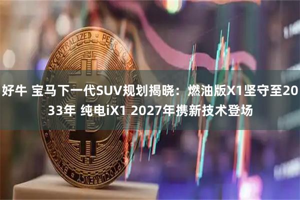 好牛 宝马下一代SUV规划揭晓：燃油版X1坚守至2033年 纯电iX1 2027年携新技术登场