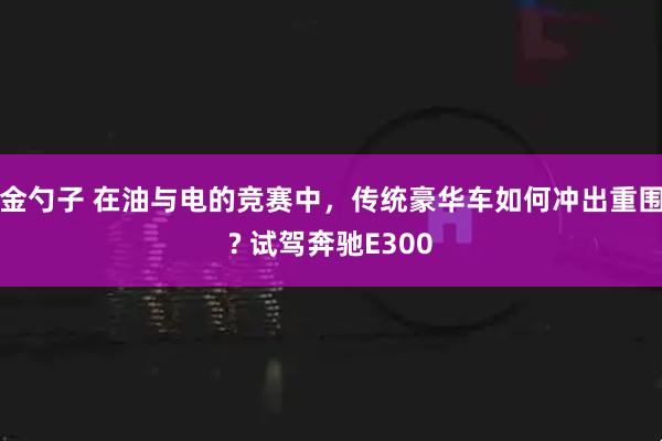 金勺子 在油与电的竞赛中，传统豪华车如何冲出重围? 试驾奔驰E300
