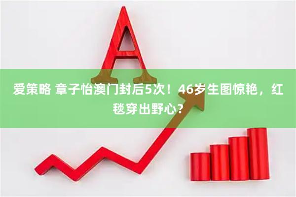 爱策略 章子怡澳门封后5次！46岁生图惊艳，红毯穿出野心？